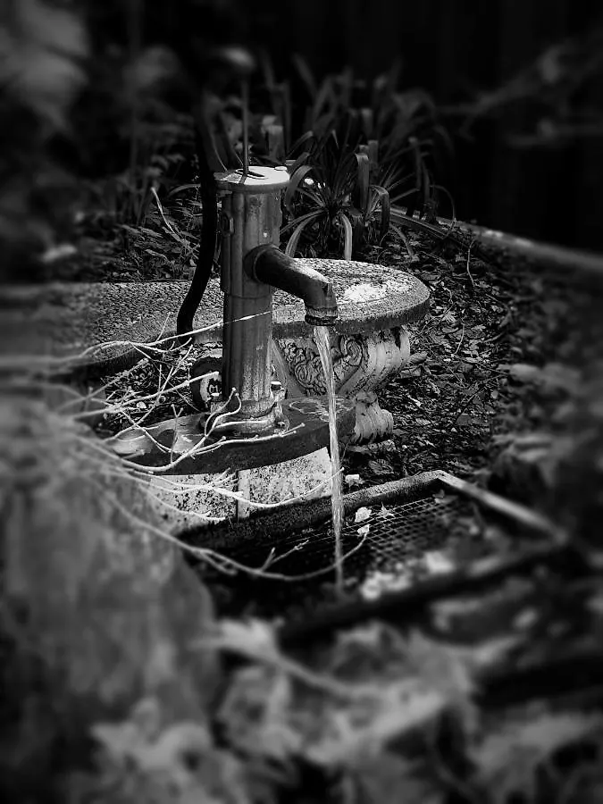 Enchanted Escape Picton